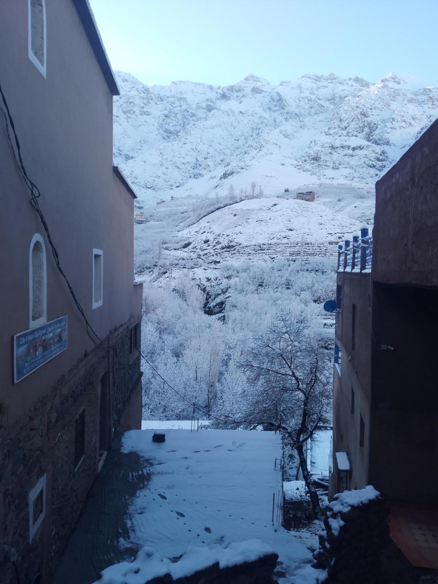 Imlil Dar Amgdoule Apartment *